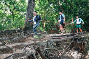 BIB: 
                            <button type="button" onclick="openModal(27720298)" class="btn btn-primary btn-sm float-right btn-popup" data-toggle="modal" data-target=".modal-high-quality">
                        <i class="fas fa-shopping-cart"></i> Add to Cart
                    </button>
                                            <button type="button" onclick="isThisMe(27720298, true)" class="btn btn-success btn-sm float-right btn-popup btn-isme hidden" data-toggle="tooltip" data-placement="bottom" title="นี่คือรูปของคุณใช่ไหม คลิกที่นี่เพื่อเอาเข้าอัลบั้ม">
                        <i class="fas fa-plus"></i> Add to album
                    </button>
                    <button type="button" onclick="isThisMe(27720298, false)" class="btn btn-warning btn-sm float-right btn-popup btn-isnotme hidden">
                        <i class="fas fa-ban"></i> Remove from album
                    </button>